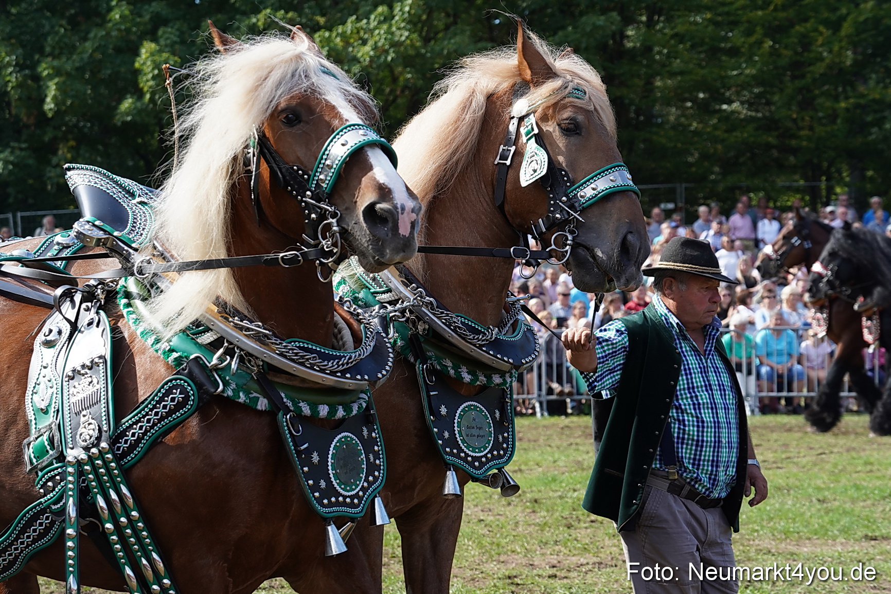 Pferde und Fohlenschau 2022 0197 